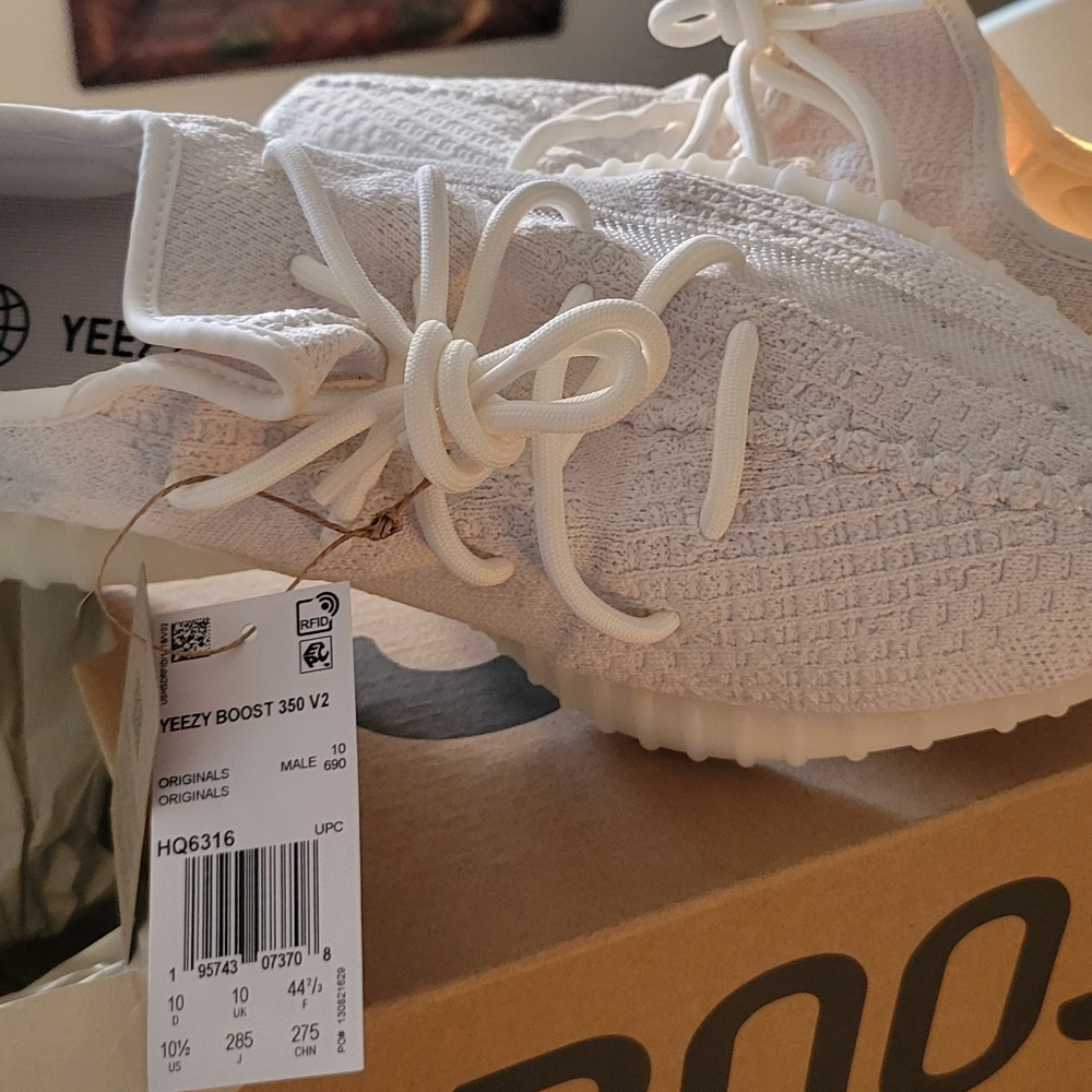 Adidas Yeezy Boost 350 V2 'Bone